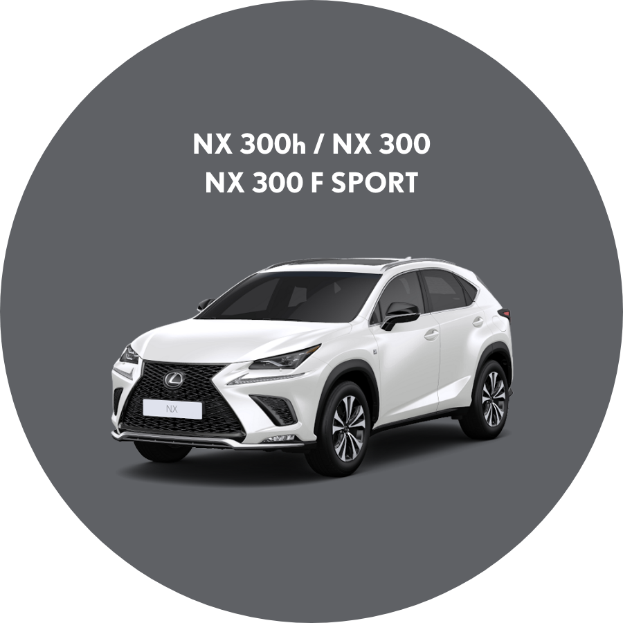 nx300h